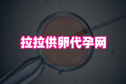 福建助孕网 2