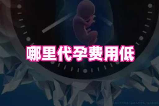 福建助孕网 3